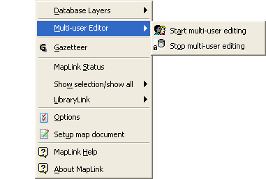 Multi-user Editor menu